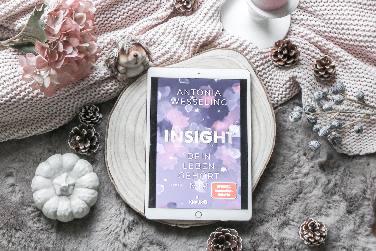 Insight – Antonia Wesseling